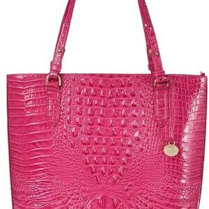 Ezra - Pink Paradise